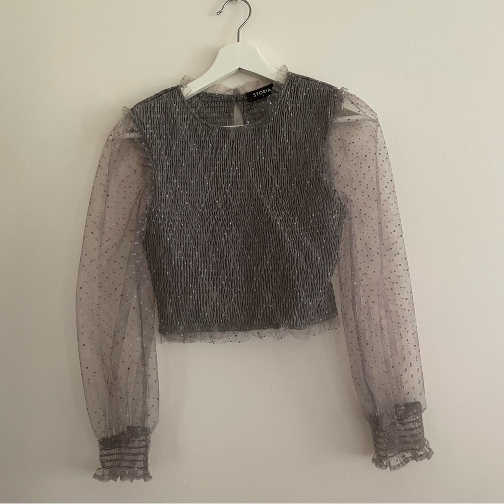 Local Boutique Storia Crop Top with Sheer Sleeves